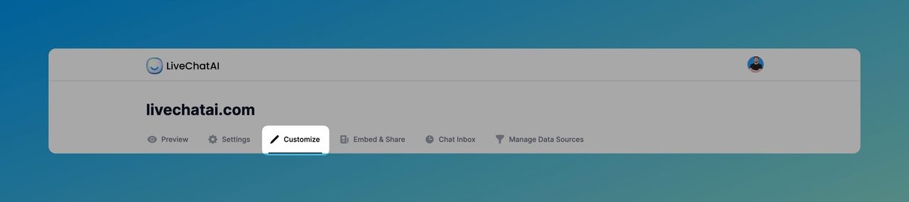 the "Customize" section of LiveChatAI
