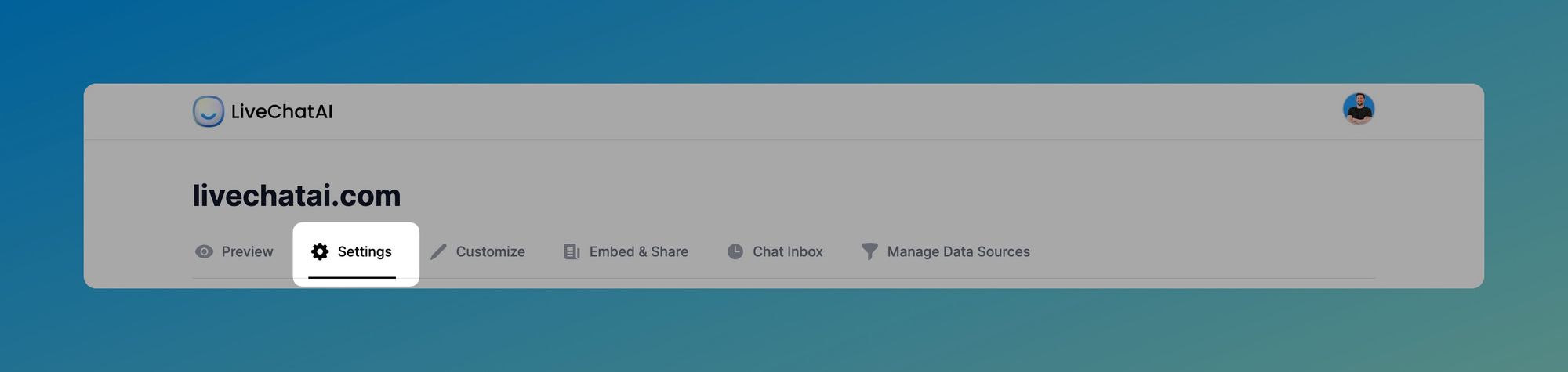 the Settings section of LiveChatAI dashboard