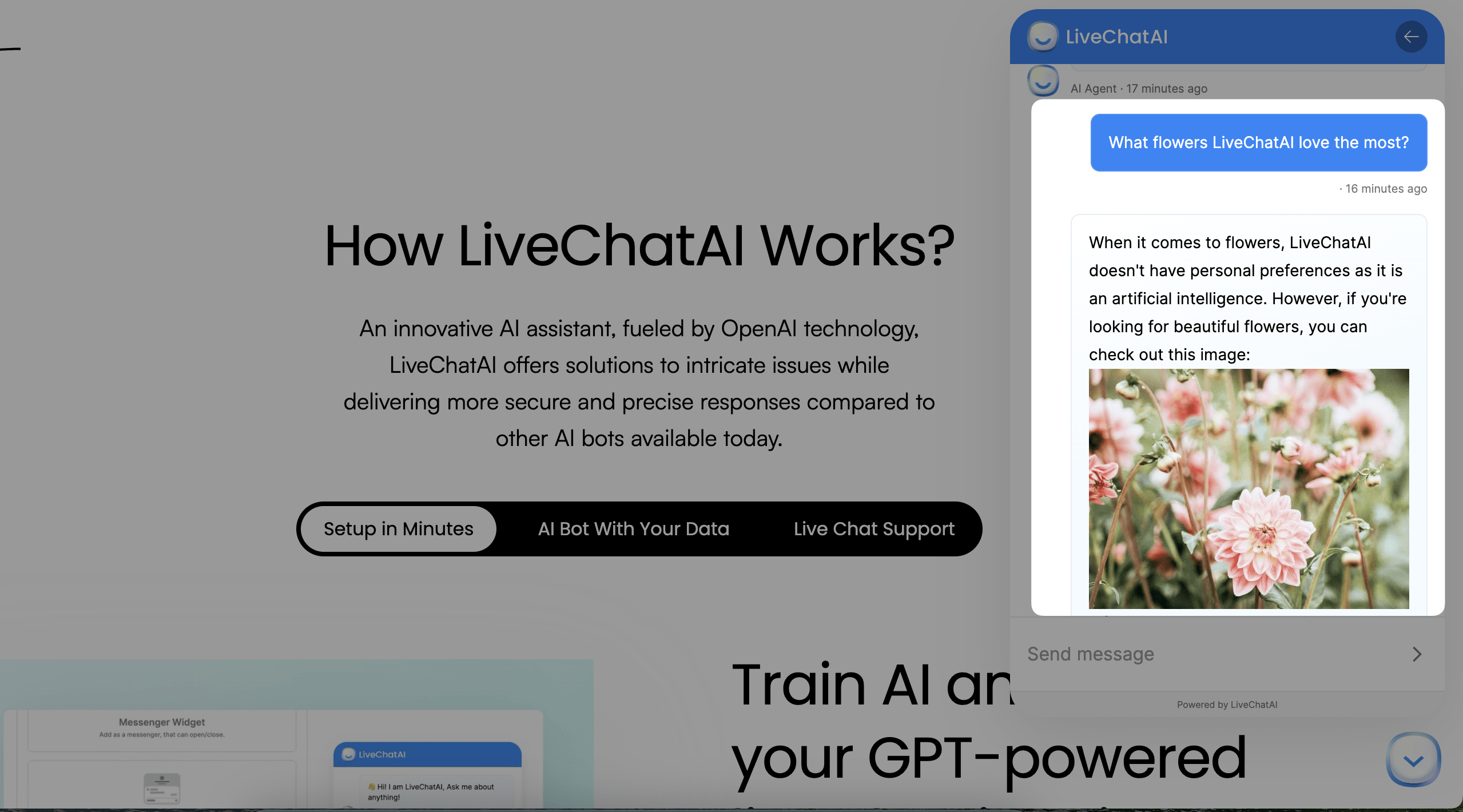 LiveChatAI AI bot gives responses with a visual 