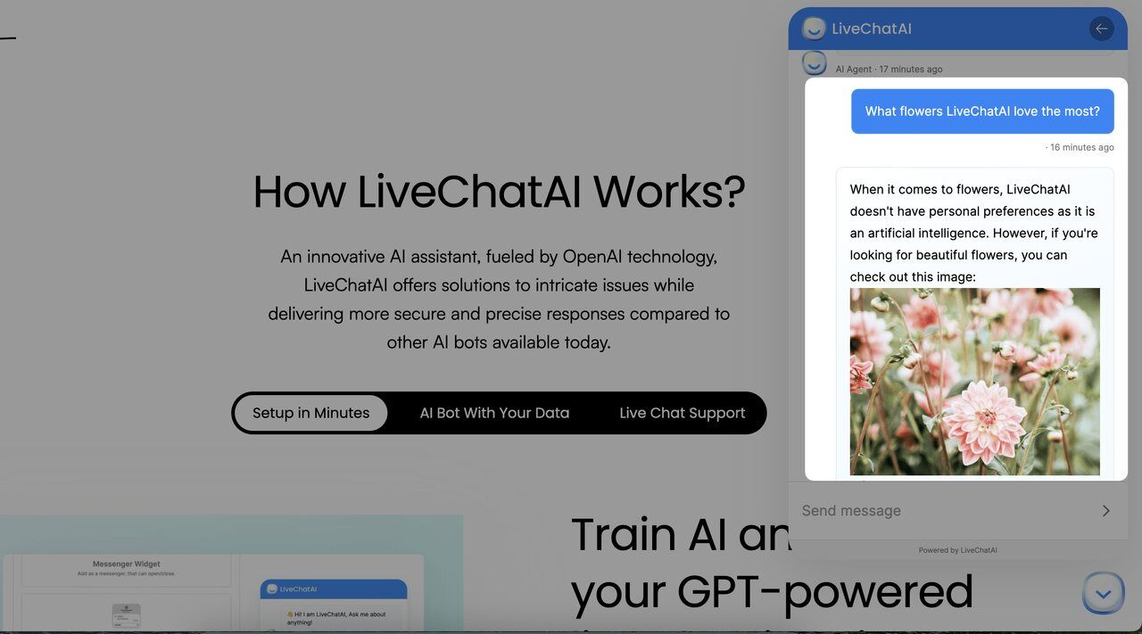 LiveChatAI AI chatbot gives responses with a visual 
