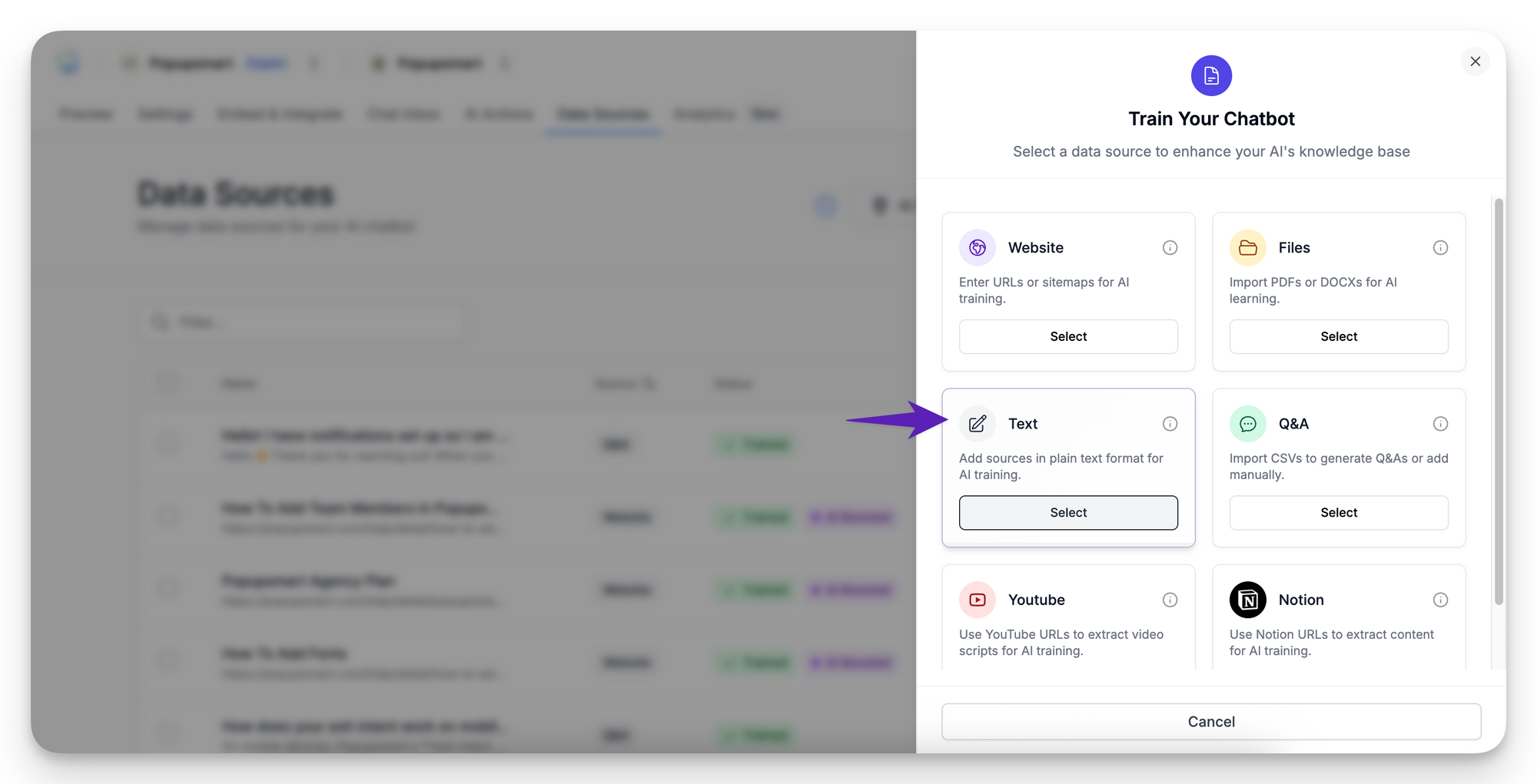 Selecting “Text” as a data source to add plain text content for chatbot training in LiveChatAI