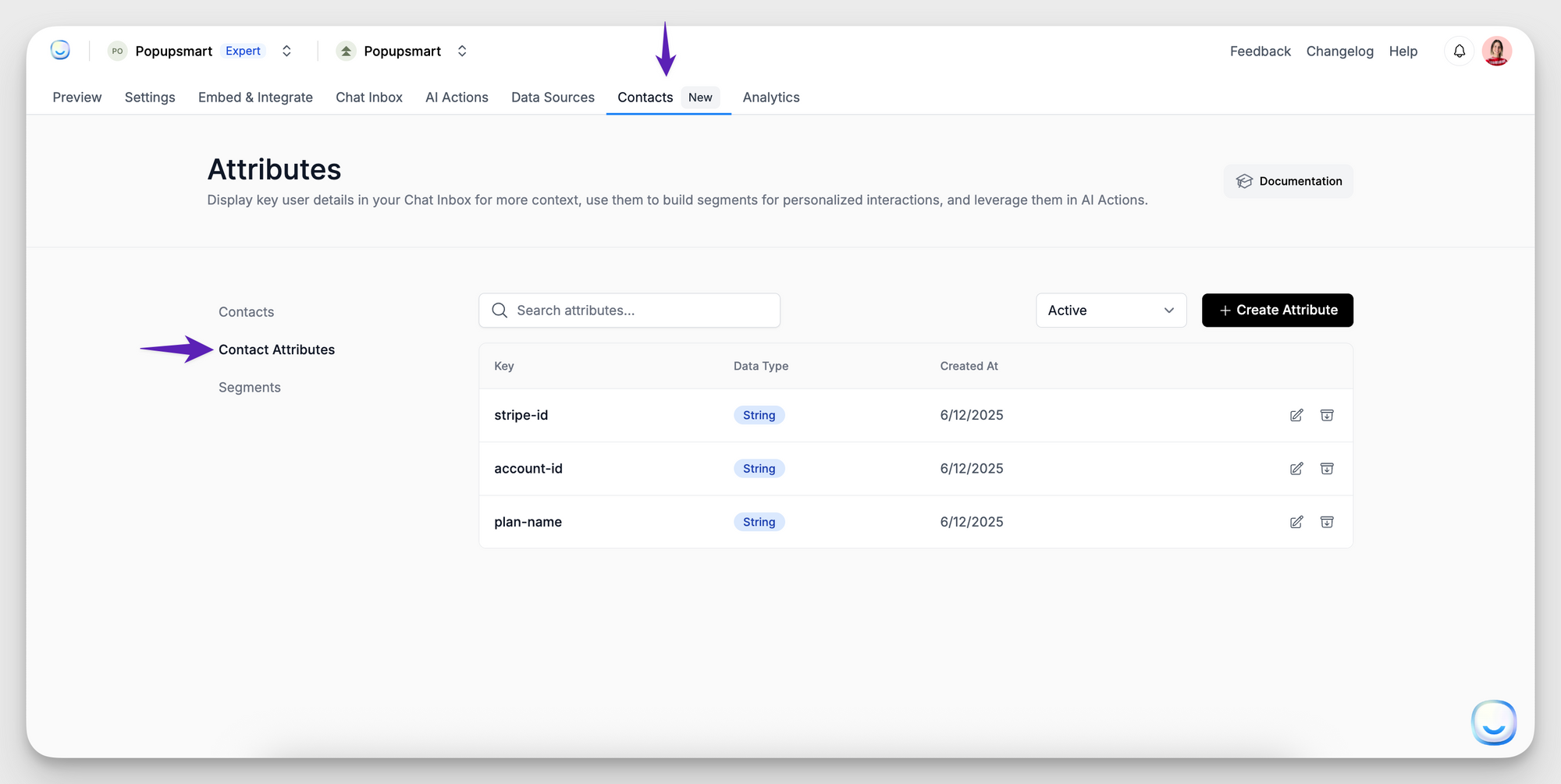 Screenshot of the “Contact Attributes” page in the LiveChatAI dashboard. The sidebar highlights "Contact Attributes" under the Contacts tab, and the main area shows a list of custom attributes like stripe-id, account-id, and plan-name, along with a “Create Attribute” button.
